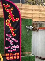 لیزر ماهورا