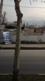 فروشگاه لوازم یدکی رویانیان