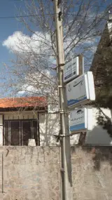 نسیم ولی