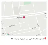 چاپ ویژه