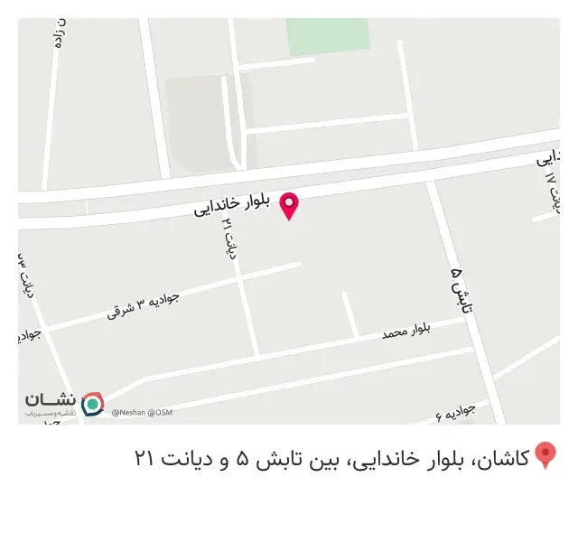 چاپ ویژه