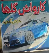 کارواش گلها