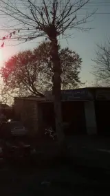 اگزوز سازی و فروشگاه اگزوز عابد