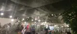 کافه باکارا