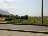 سبزی فروشی موسوی
