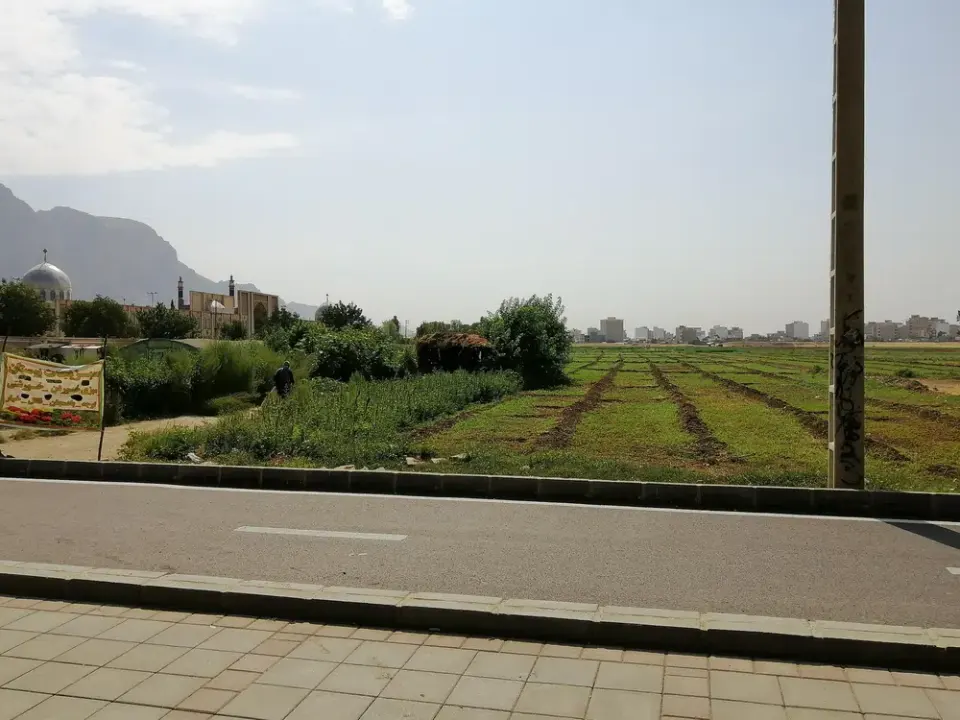 سبزی فروشی موسوی
