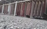 قالیشویی کلبه