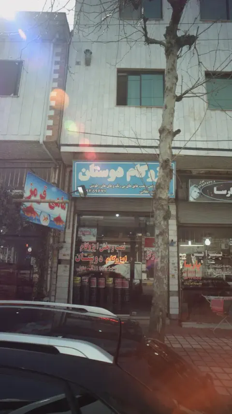 ایزوگام دوستان