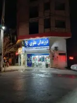 دوزندگی علوی