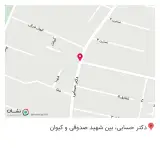 پوشاک شانلی
