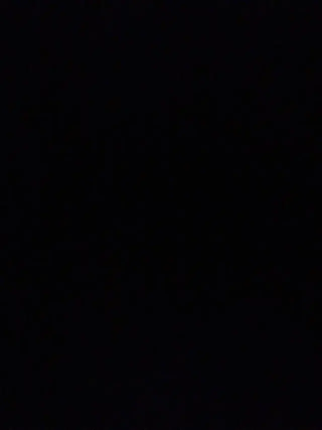 سوپرمارکت فلسطین