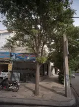 مشاور املاک کلاهی