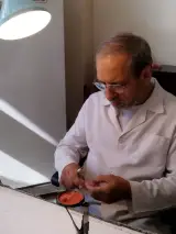دندانسازی مرتضی واحدی جو