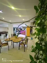 کافه سید در یاسوج