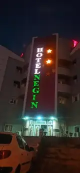 هتل نگین برازجان (دشستان)