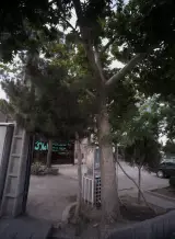 املاک محمد