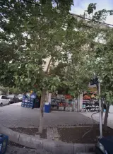 مشاور ملاک شریعتی