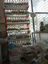 عطاری طب الرضا