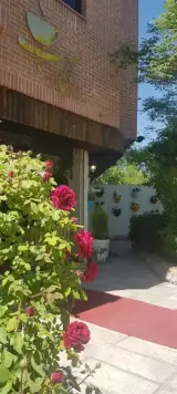 کافه کتاب