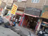مکانیکی و جلوبندی سناتور