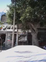 املاک یگانه