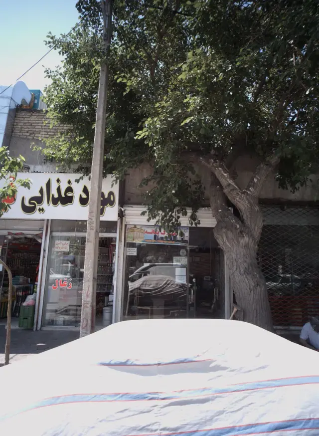 املاک یگانه