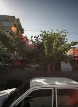مشاور املاک عرب
