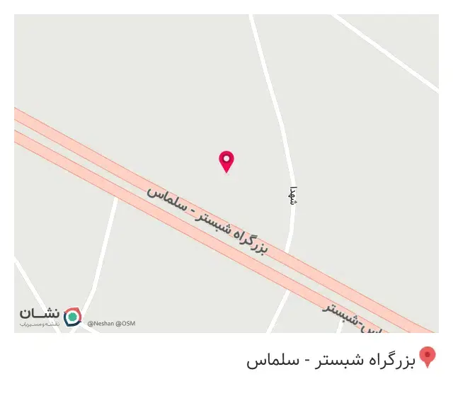 تودوزی نجف زاده