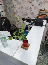 موبایل پارسه زیتون Parseh Mobile