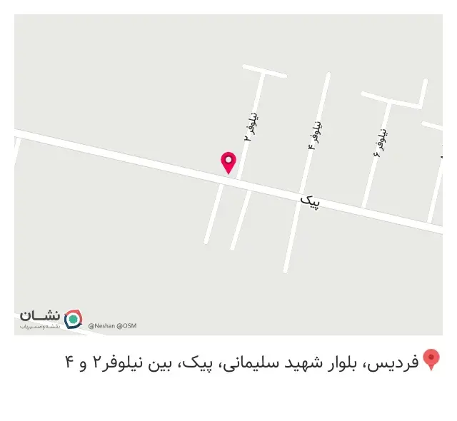 تولید نایلون و چاپ ستاره