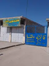 قالیشویی دلتا