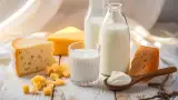 لبنیات سربند