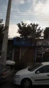 کارشناسان ارشاد