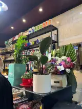 قهوه بلوط مهرشهر