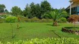 مجتمع رفاهی تکتا (صدا و سیما)