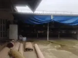 قالیشویی ملک پور