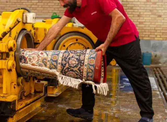 قالیشویی یاس
