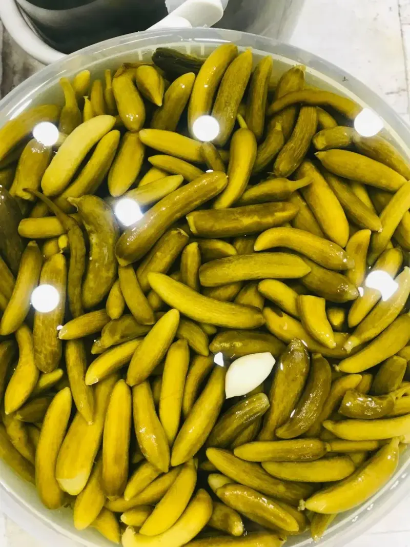 فروشگاه پروتئین امین پور
