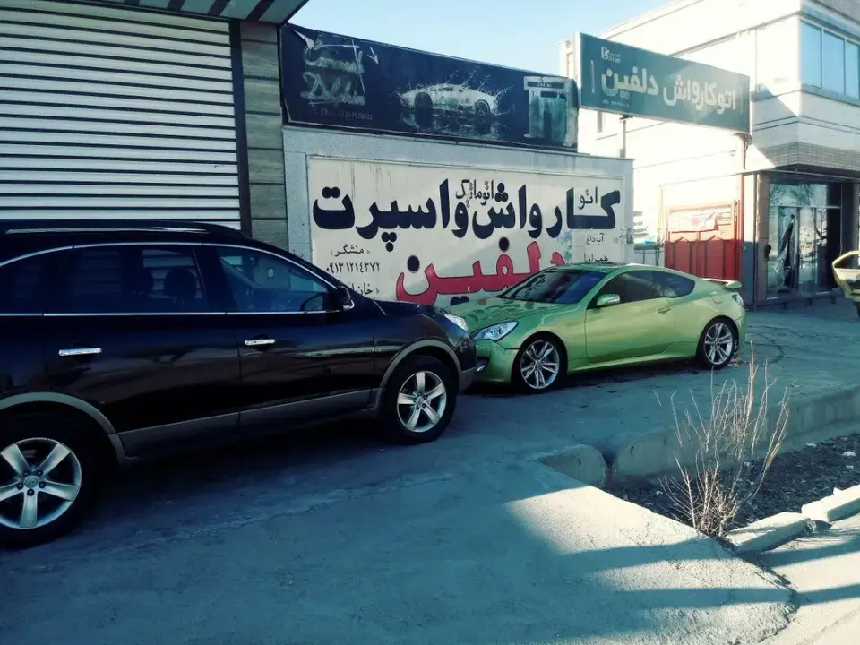 کارواش دلفین