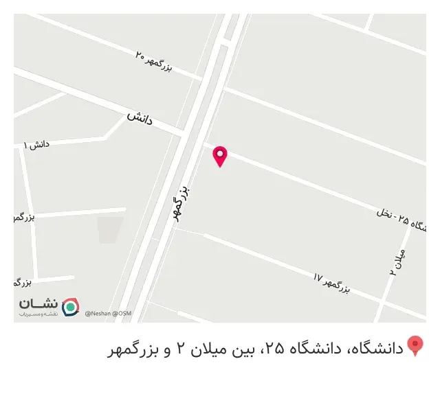 رایان تکثیر