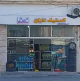لاستیک دایان
