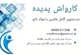 کارواش پدیده