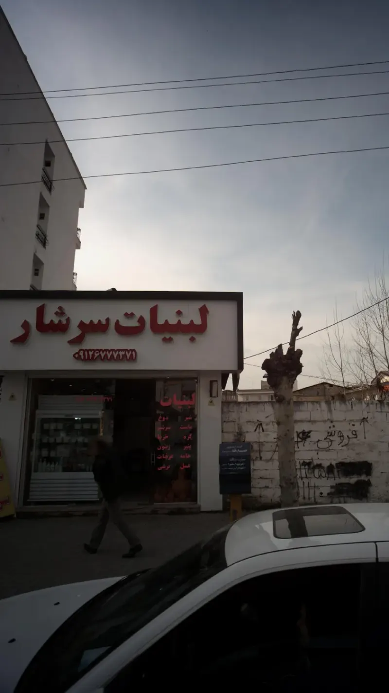 لبنیات سر شار