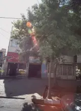 سالن صافکاری و نقاشی پیشرو