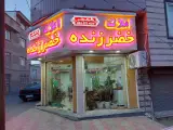 مشاور املاک خضر زنده
