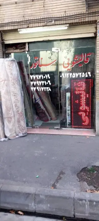 قالیشویی سناتور