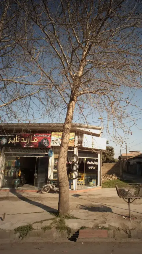 فروشگاه لاستیک مازند تایر