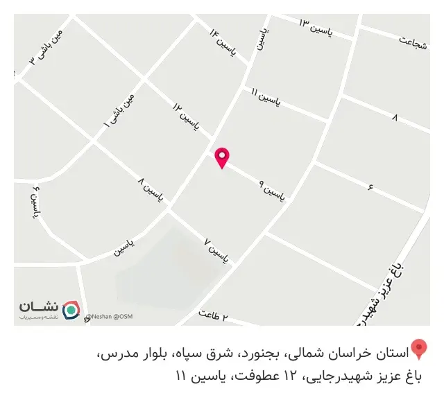 چاپ بلوسیب