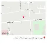 تجهیزات پزشکی سلوی