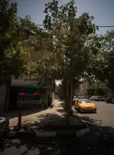 مشاور املاک مهدی